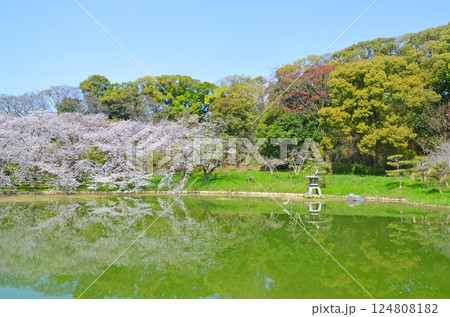 桜が咲き誇る水辺の風景（大阪・鶴見緑地公園） 124808182