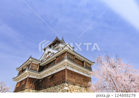 桜満開の福知山城 124808279