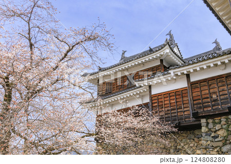 桜満開の福知山城 桜満開の福知山城 124808280