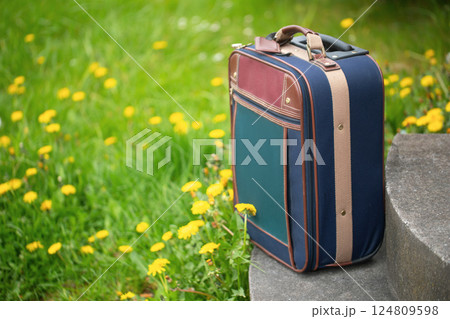 Old travel bag 124809598