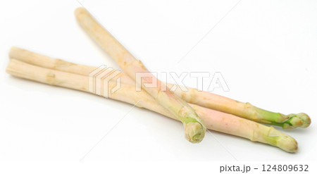 German White Asparagus German White Asparagus 124809632