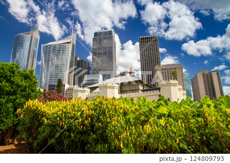 オーストラリア　ニューサウスウェールズ州シドニー　ロイヤル植物園から市街地の高層ビル群の景色 124809793