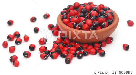 Abrus precatorius or Indian liquorice Seeds over white background Abrus precatorius or Indian liquorice Seeds over white background 124809999