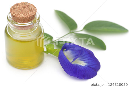 Clitoria ternatea with extract in a bottle Clitoria ternatea with extract in a bottle 124810020