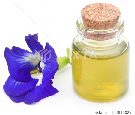 Clitoria ternatea with extract Clitoria ternatea with extract 124810025