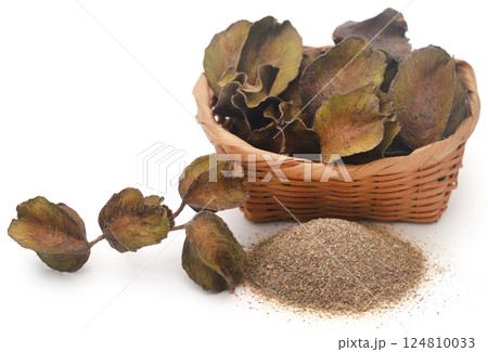 Ayurvedic arjun fruit with ground powder 124810033