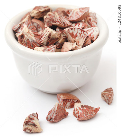 Betel nut 124810098