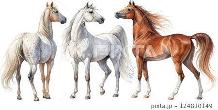 Three Watercolor Horses Three Watercolor Horses 124810149