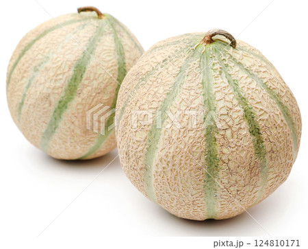 Cantaloupe or rockmelon 124810171