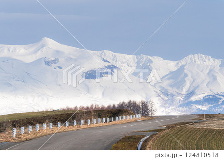 早春の北海道美瑛町の十勝岳連峰を望む道 124810518