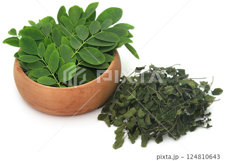 Moringa leaves 124810643