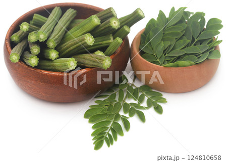 Edible moringa with fresh leaves 124810658