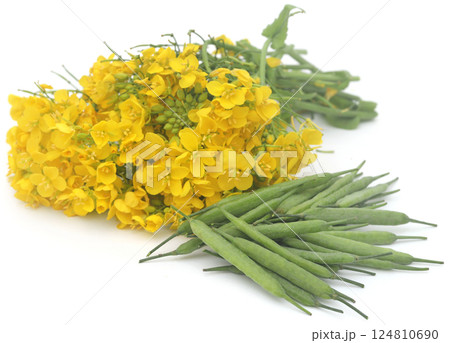 Closeup of mustard flowers Closeup of mustard flowers 124810690