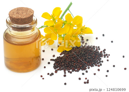 Closeup of mustard flowers Closeup of mustard flowers 124810699