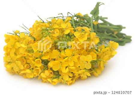 Closeup of mustard flowers Closeup of mustard flowers 124810707