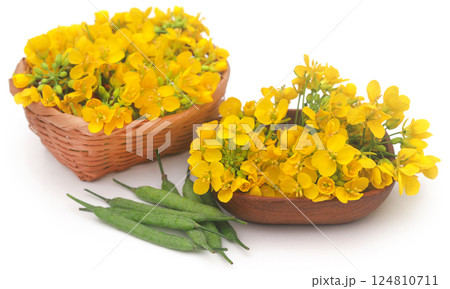 Closeup of mustard flowers Closeup of mustard flowers 124810711