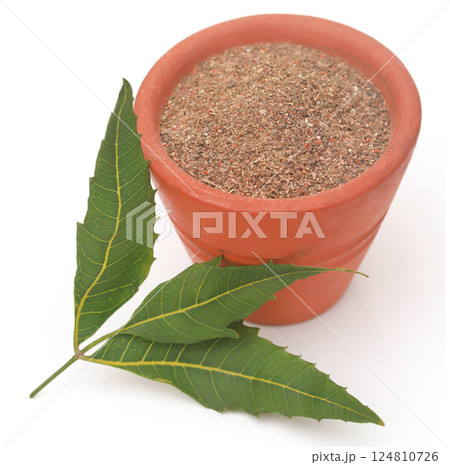 Medicinal neem leaves with powder 124810726