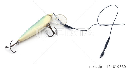Pike fishing fishing lure with metal wire 124810780
