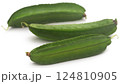 Winged bean 124810905