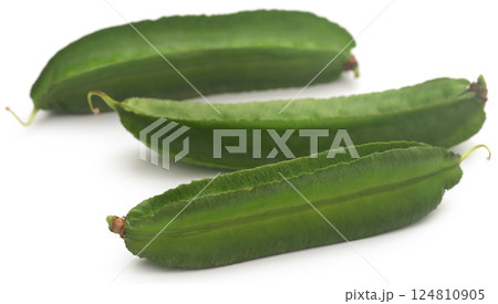 Winged bean Winged bean 124810905