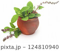 Medicinal tulsi leaves 124810940