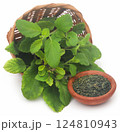 Medicinal tulsi leaves 124810943