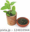 Medicinal tulsi leaves 124810944