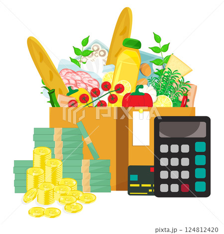 Infographic vector illustration of box with grocery products, calculator, credit card and cash with coins stacks. Living cost inflation and budget planning. 124812420