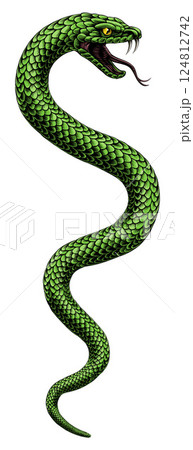 Snake Coiled Serpent Vintage Style Illustration 124812742