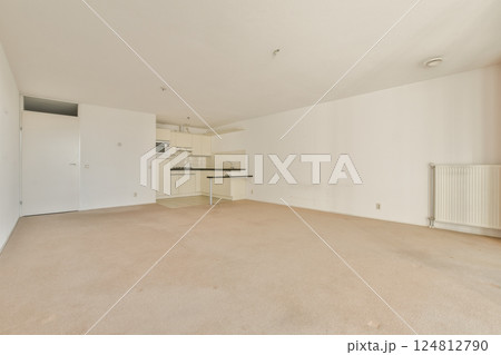 Spacious, modern living room with beige carpet, white walls, and minimalist design. Ideal for home staging or interior decor inspiration. 124812790