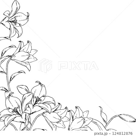 百合の線画のフレーム 124812876