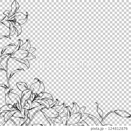 百合の線画のフレーム 124812876