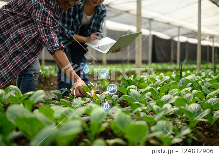 Two farmers examining young plants in a greenhouse while using laptop and smart farming technology 124812906