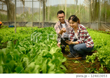 Farmers analyze data on digital tablet while inspecting plants in a greenhouse Farmers analyze data on digital tablet while inspecting plants in a greenhouse 124813053