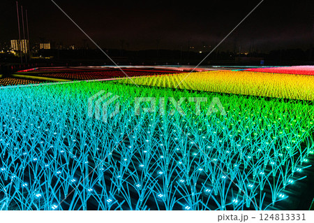 大井競馬場メガイルミ#1 大井競馬場メガイルミ#1 124813331