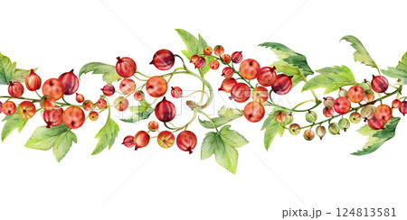Currant gooseberry with leaves in clusters, ripe berry casseille juneberry jostaberry, hand drawn in watercolor. Isolated seamless banner border garland. Dessert menu, eco farmers market, gardening. Currant gooseberry with leaves in clusters, ripe berry casseille juneberry jostaberry, hand drawn in watercolor. Isolated seamless banner border garland. Dessert menu, eco farmers market, gardening. 124813581