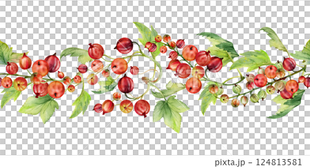 Currant gooseberry with leaves in clusters, ripe berry casseille juneberry jostaberry, hand drawn in watercolor. Isolated seamless banner border garland. Dessert menu, eco farmers market, gardening. Currant gooseberry with leaves in clusters, ripe berry casseille juneberry jostaberry, hand drawn in watercolor. Isolated seamless banner border garland. Dessert menu, eco farmers market, gardening. 124813581