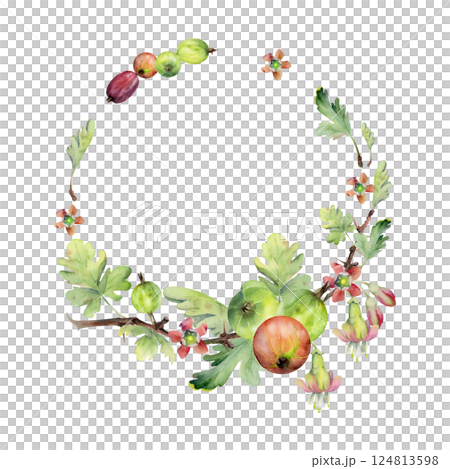 Gooseberry berries leaves flower buds hanging on thorny branch, watercolor hand drawn wreath. Ripe garden juneberry casseille currant. Cut out botanical illustration. Home preserves cookbook, florist Gooseberry berries leaves flower buds hanging on thorny branch, watercolor hand drawn wreath. Ripe garden juneberry casseille currant. Cut out botanical illustration. Home preserves cookbook, florist 124813598