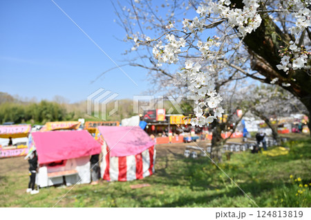 満開の桜並木 お花見シーズン到来!出店でカンパイ!! 春の素材 満開の桜並木 お花見シーズン到来!出店でカンパイ!! 春の素材 124813819