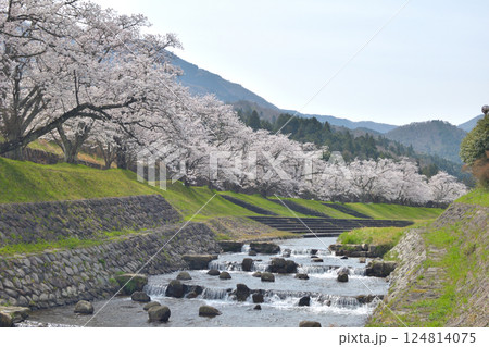 京都府与謝野町の野田川親水公園 京都府与謝野町の野田川親水公園 124814075