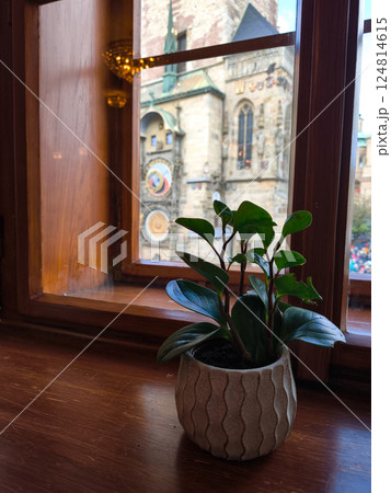 Potted plant framing prague astronomical clock through window Potted plant framing prague astronomical clock through window 124814615