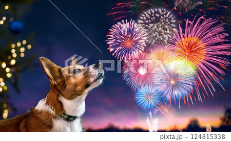 夜空に咲く色鮮やかな花火を見上げる犬の姿 124815338
