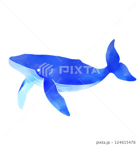 水彩タッチのクジラのイラスト素材 124815478