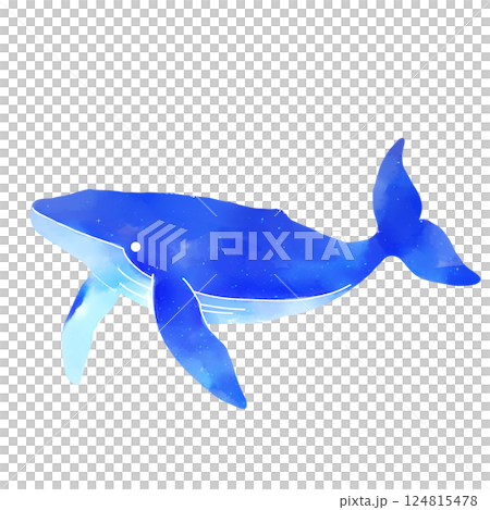 水彩タッチのクジラのイラスト素材 124815478