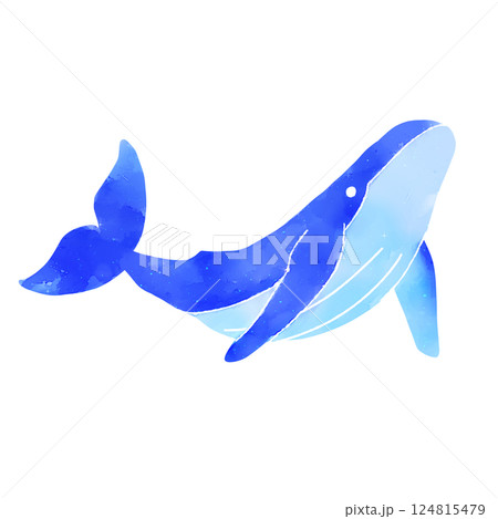 水彩タッチのクジラのイラスト素材 124815479