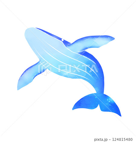 水彩タッチのクジラのイラスト素材 124815480