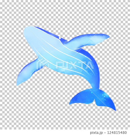 水彩タッチのクジラのイラスト素材 124815480