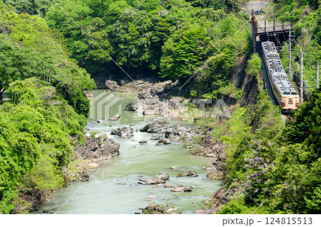 福知山線の渓谷を横に走行する183系 124815513