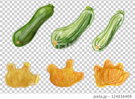 ズッキーニと生姜の水彩画と色鉛筆画 124816409