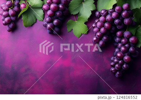 Fresh purple grapes with green leaves on a textured magenta background. Copy space Fresh purple grapes with green leaves on a textured magenta background. Copy space 124816552